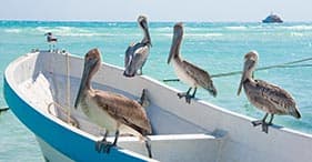 Canal de Panamá y Caribe occidental, 23 días