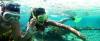 Cruceros del Caribe desde $299