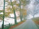 Cruceros a Canadá y Nueva Inglaterra Colores de otoño en tu crucero a Canadá y Nueva Inglaterra