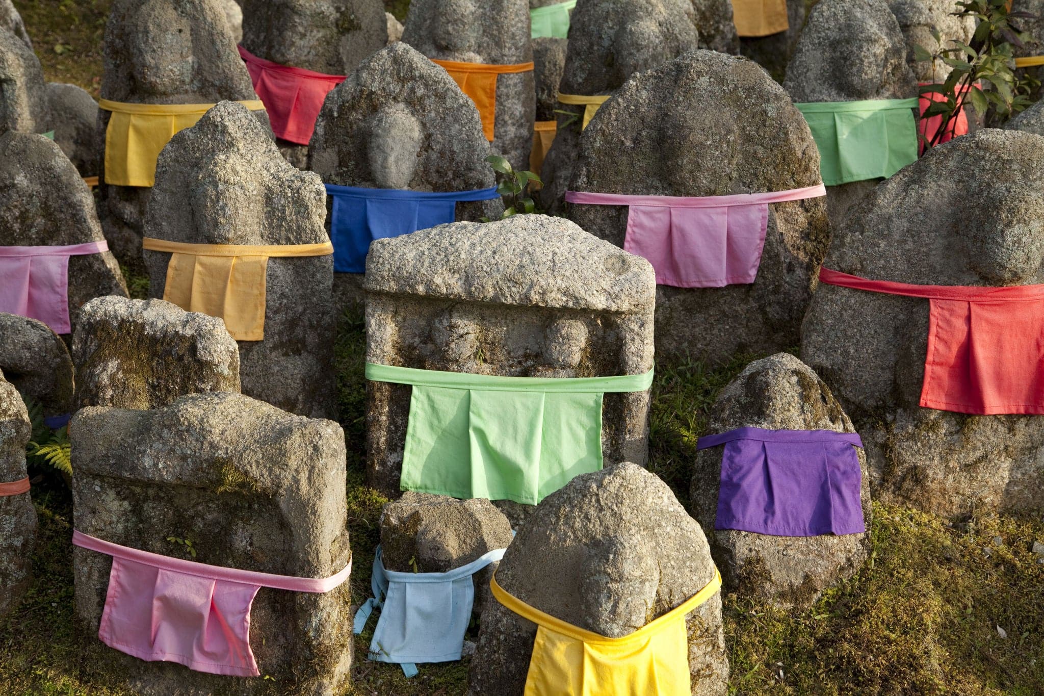 An image of Statues of Buddha