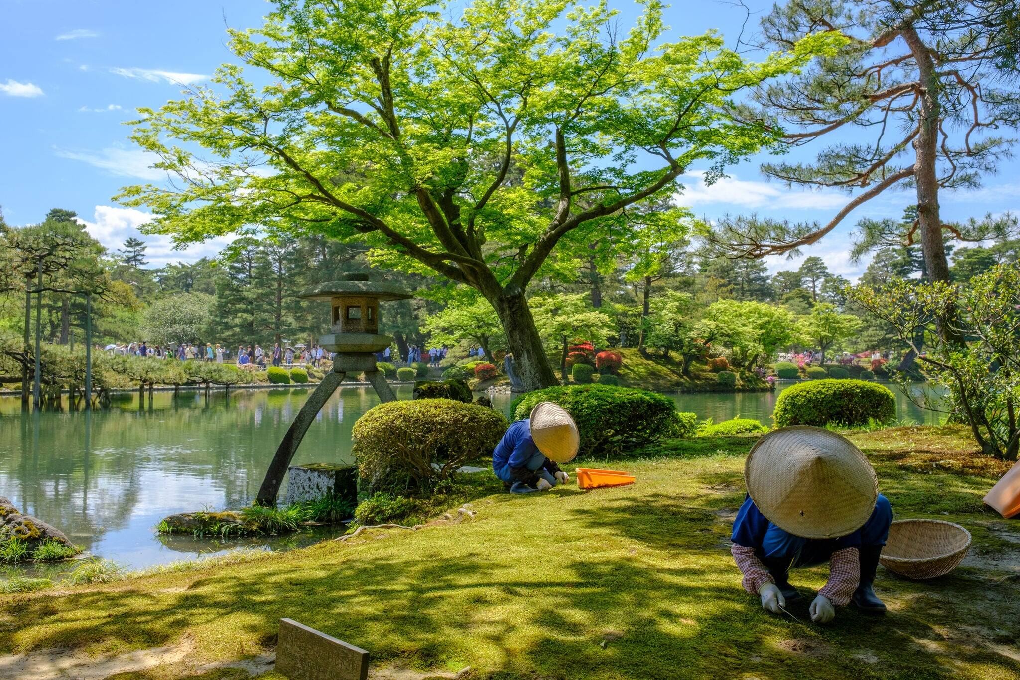Japanese gardener near the Toro lantern in Kenrokuen, a japanese garden in Kanazawa, Ishikawa prefecture, Japan