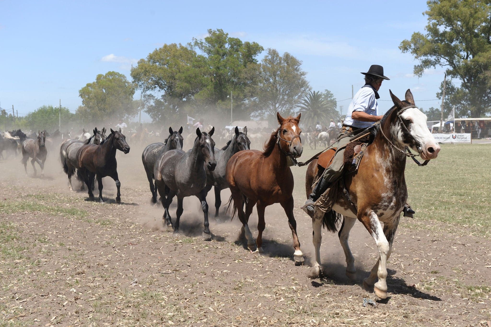 A Gaucho rides a horse in Buenos Aires, Argentina