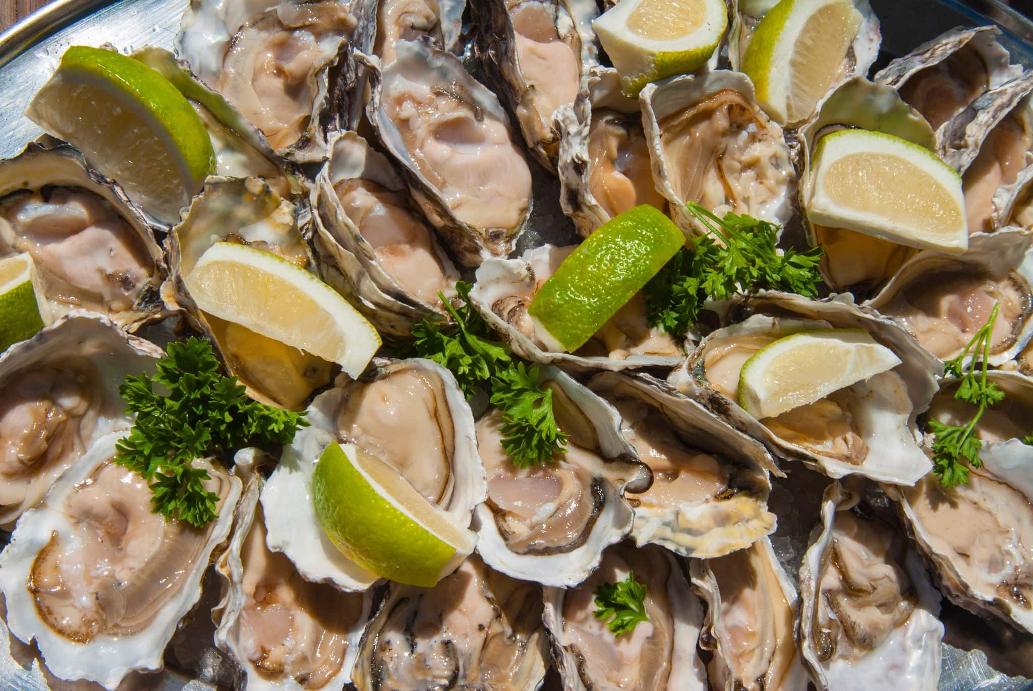Oysters, Namibia. Food
