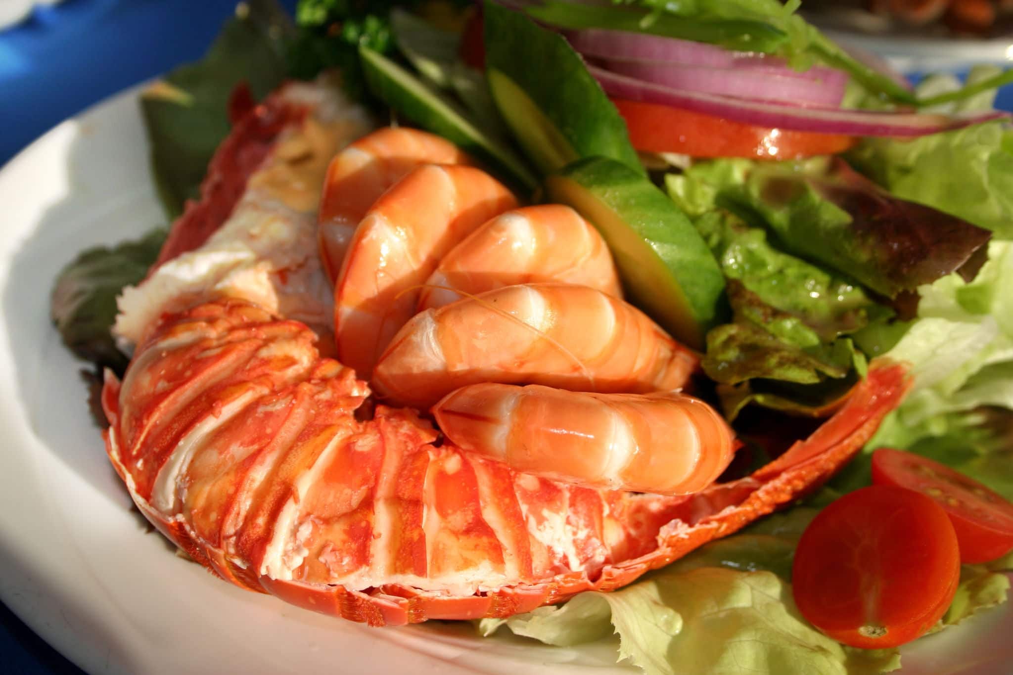Fresh and delicious seafood meal at Watson Bay, NSW, Australia
