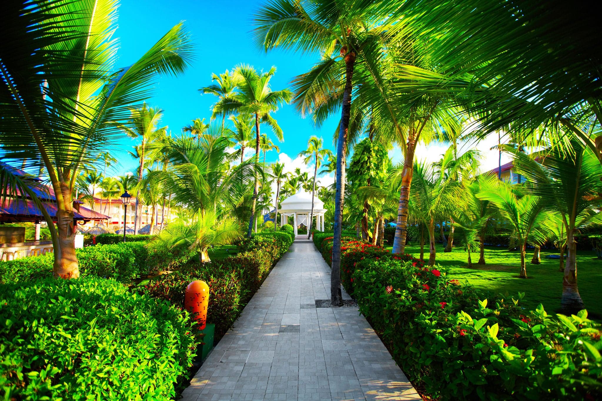 Tropical resort. Hot sunny destination for vacation
