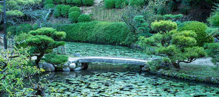 Traditional garden in Matsuyama, Japan.
