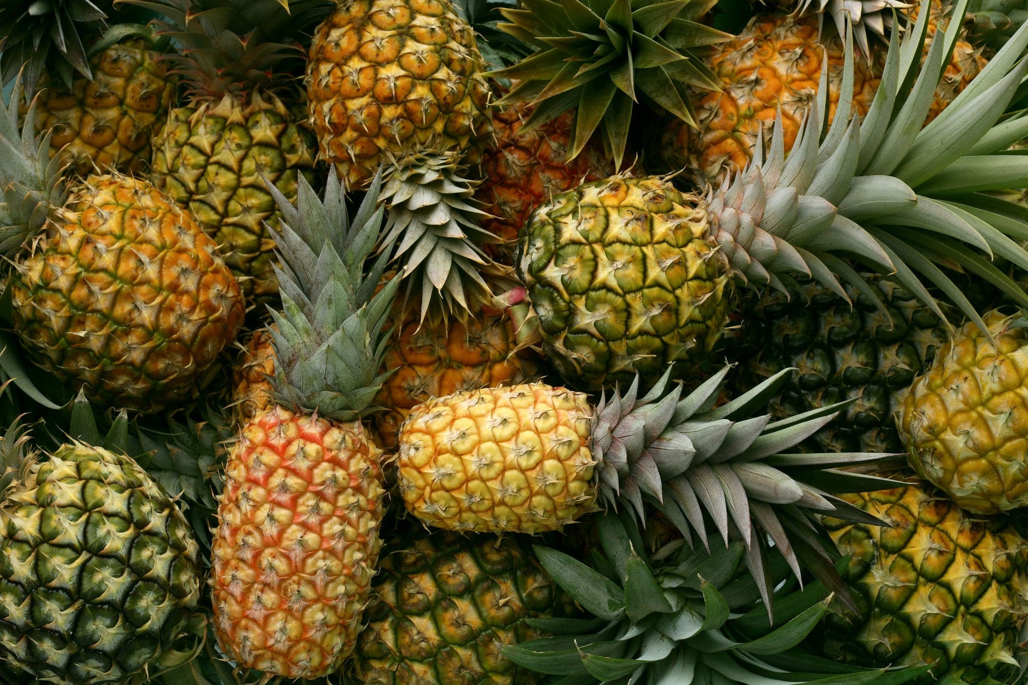 Hawaiian pineapples background