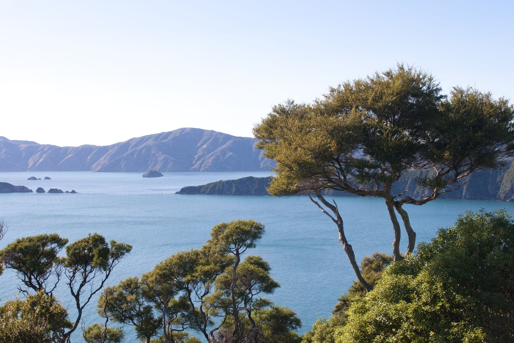 Part of the Queen Charlotte track at Marlborough Sounds in New Zealand  Part of the Queen Charlotte track at Marlborough Sounds in New Zealand