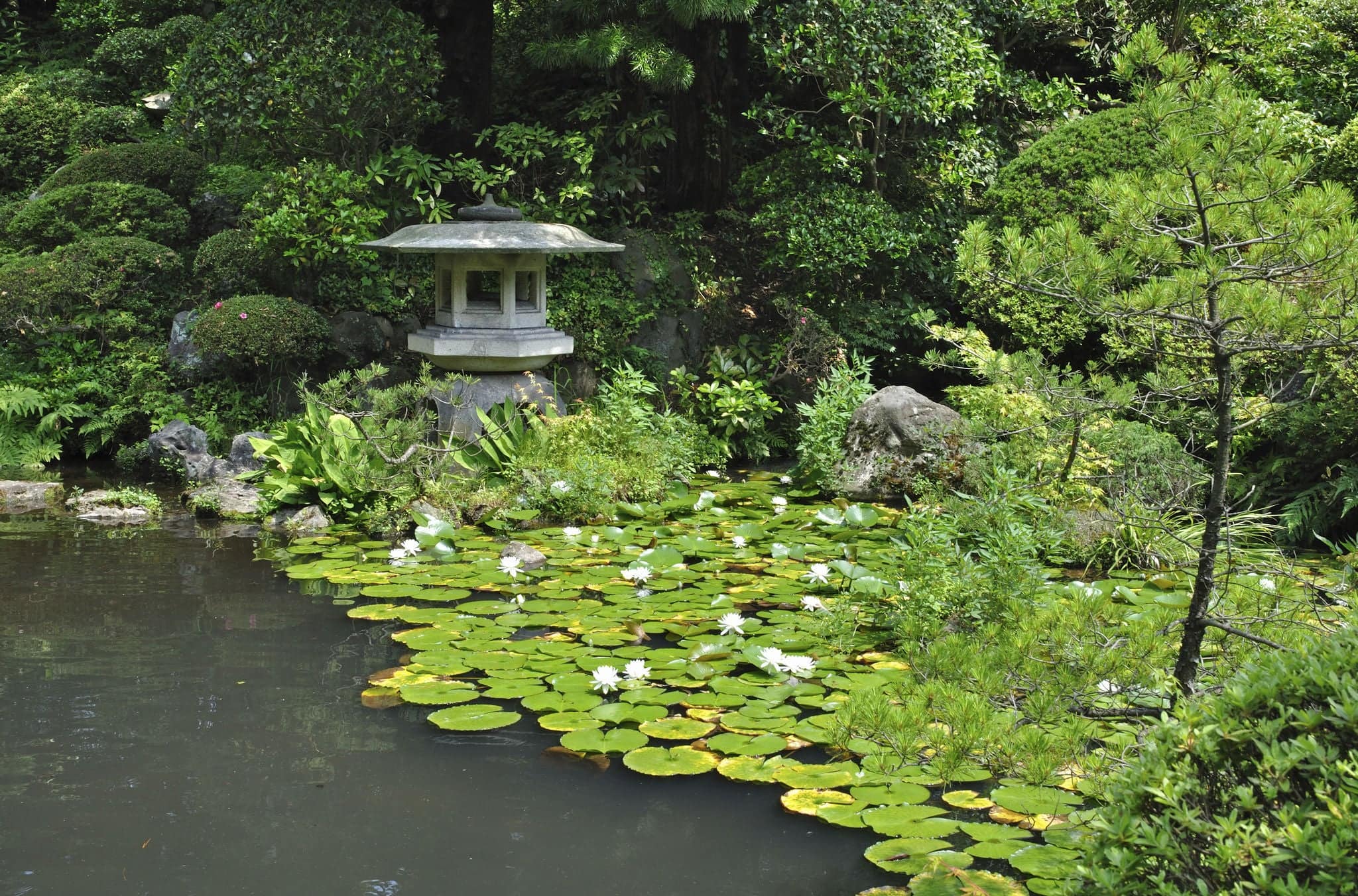 The Panorama Of Sakata City In Summer