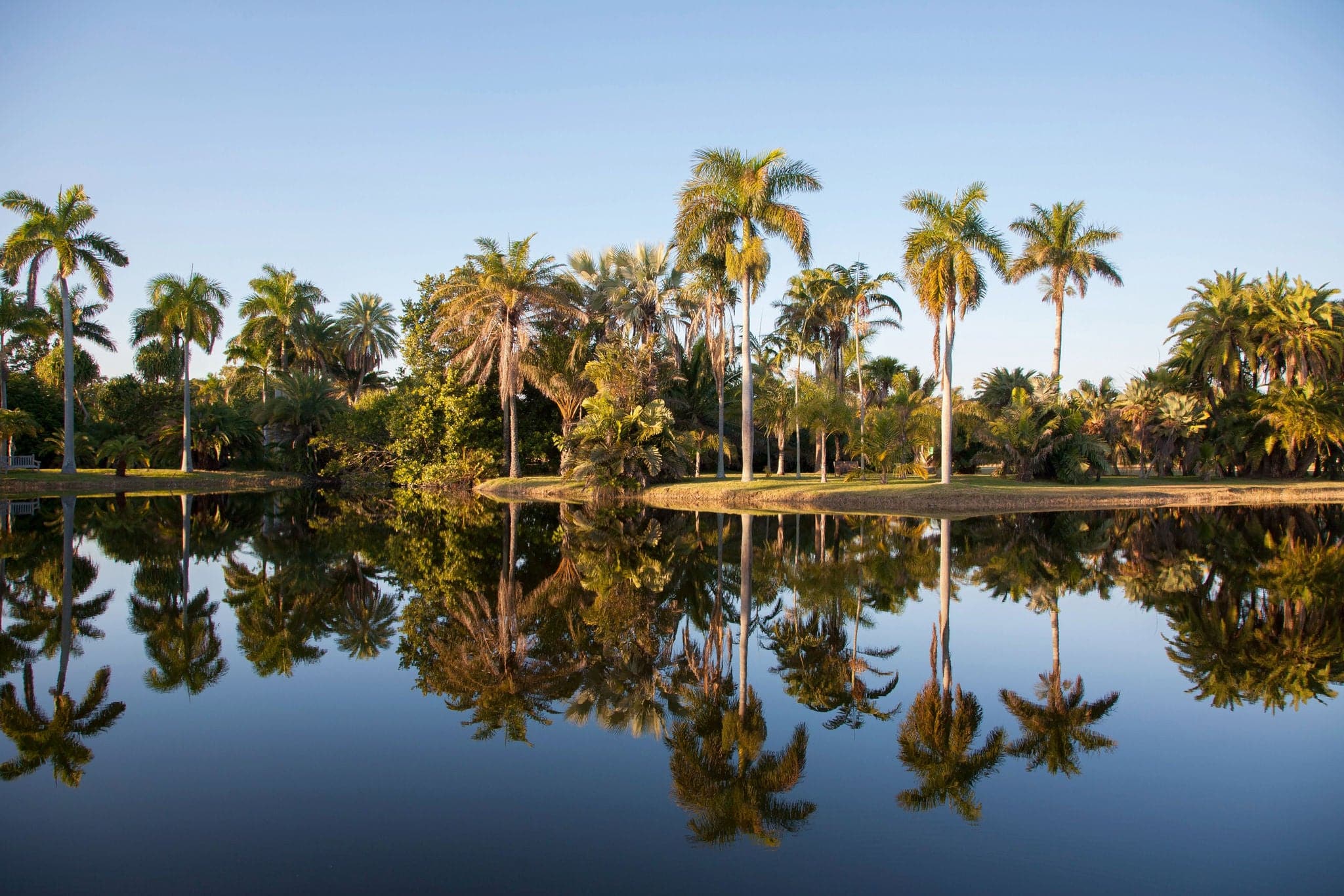 Scenic view of Fairchild Tropical Botanic Garden at sunset, Coral Gables, FL, USA