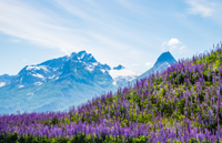 Keystone Canyon (Valdez), Alaska