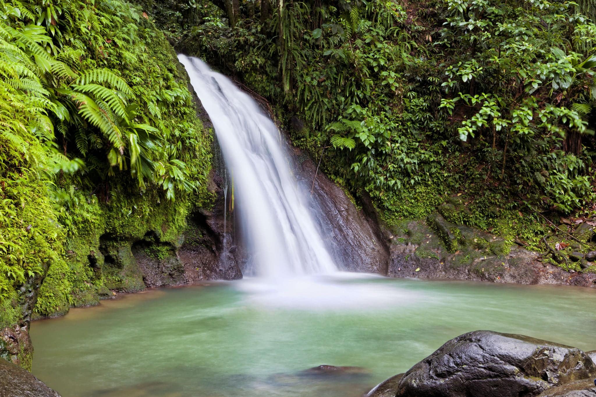 Waterfall in the National Park of Guadeloupe