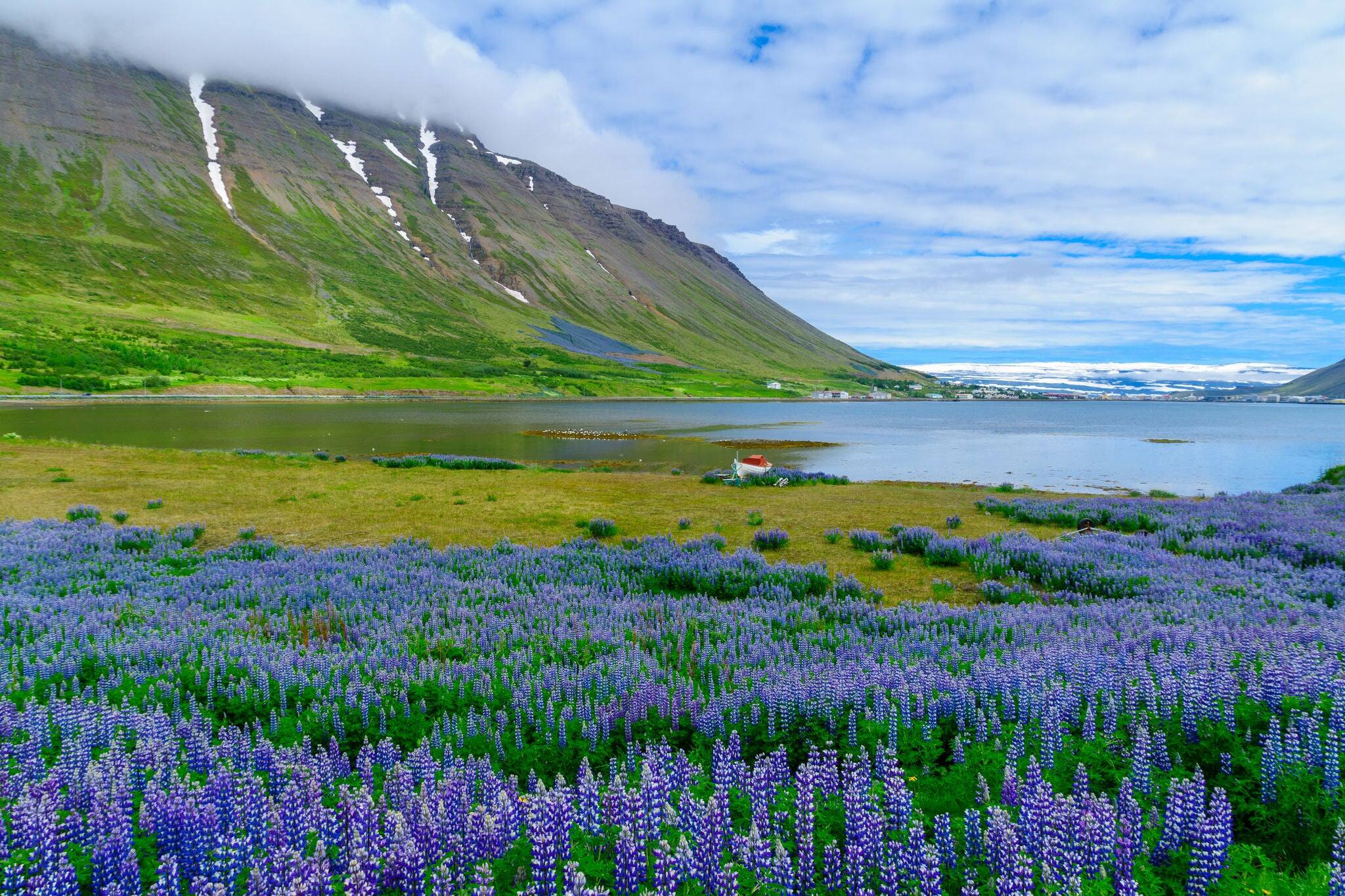 Landscape and view of Isafjordur town, in the west fjords region, Iceland