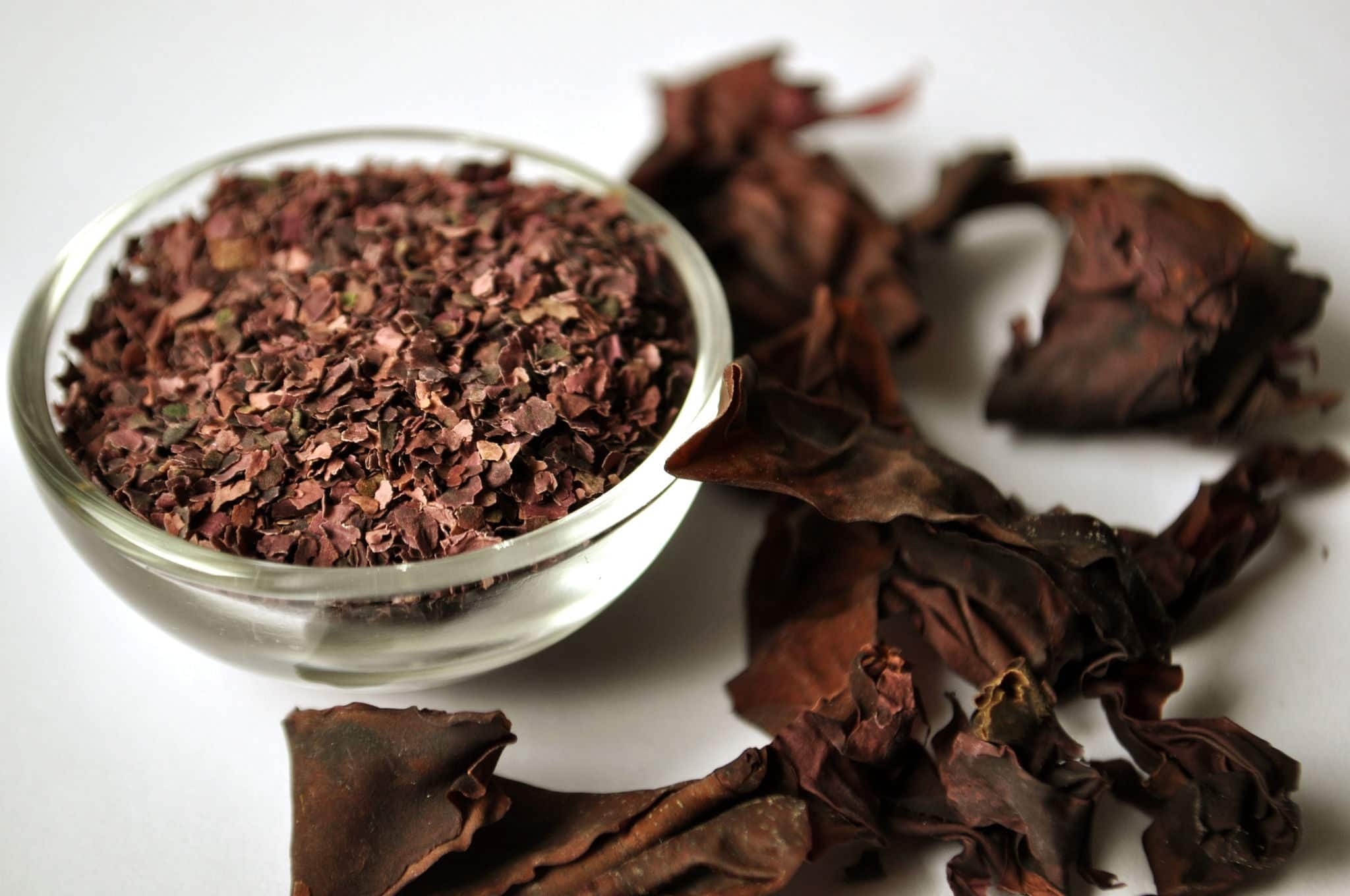 Dried Dulse seaweed (Palmaria palmata) flakes and whole plant