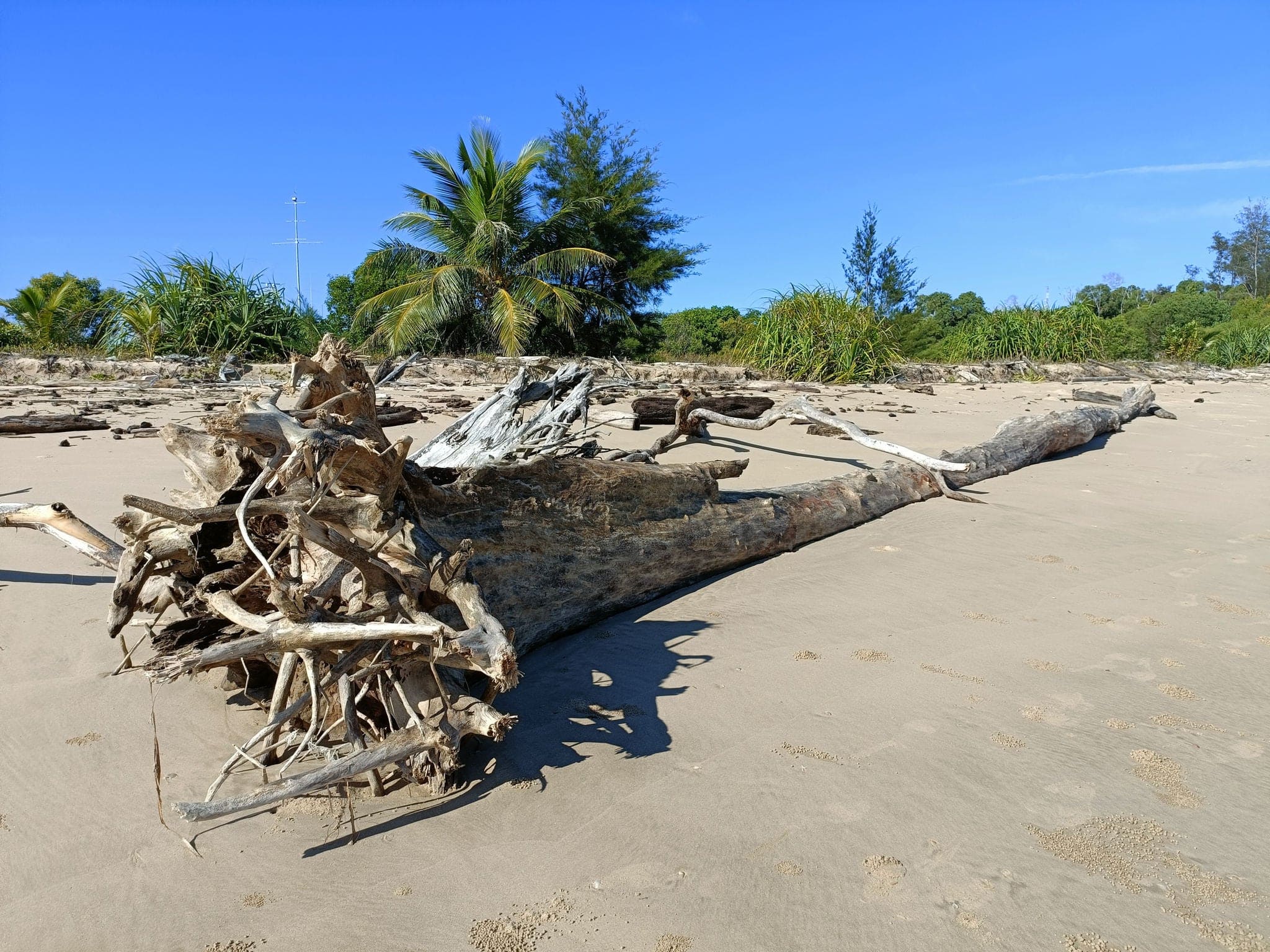 madera a la deriva en la playa de Muara Brunei Darussalam