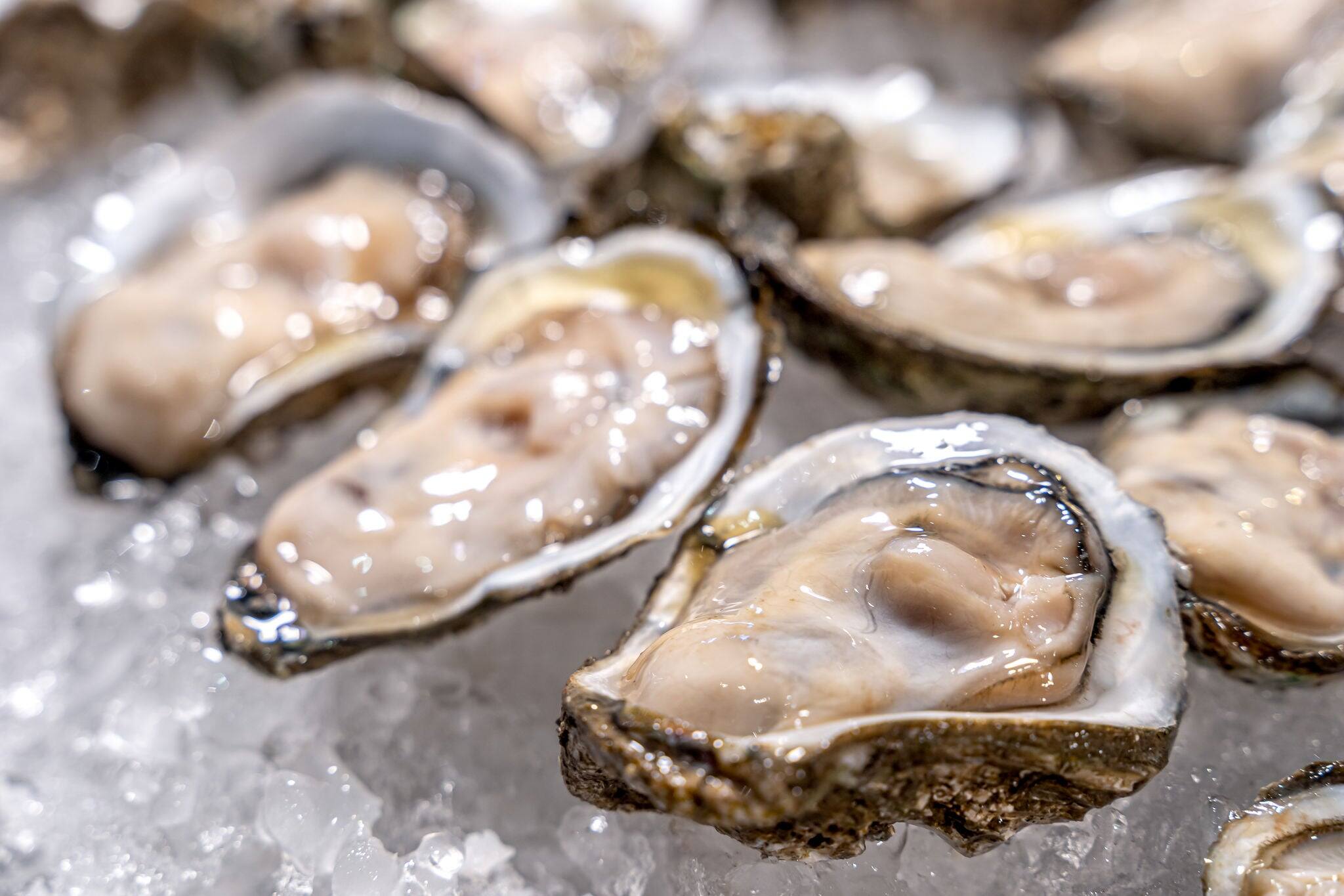 Fresh oysters on ice at a seafood restaurant. Ready for eat or serving, Selective focus. Oysters are protein rich and raw with lemon a delicacy