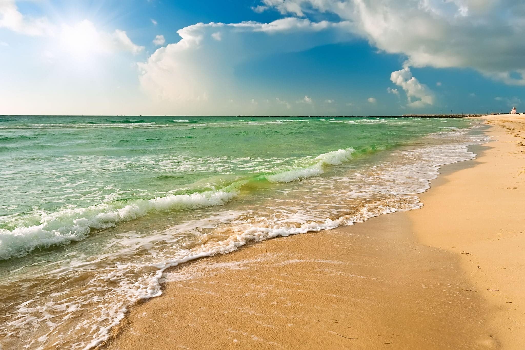 Beach in Miami, FL