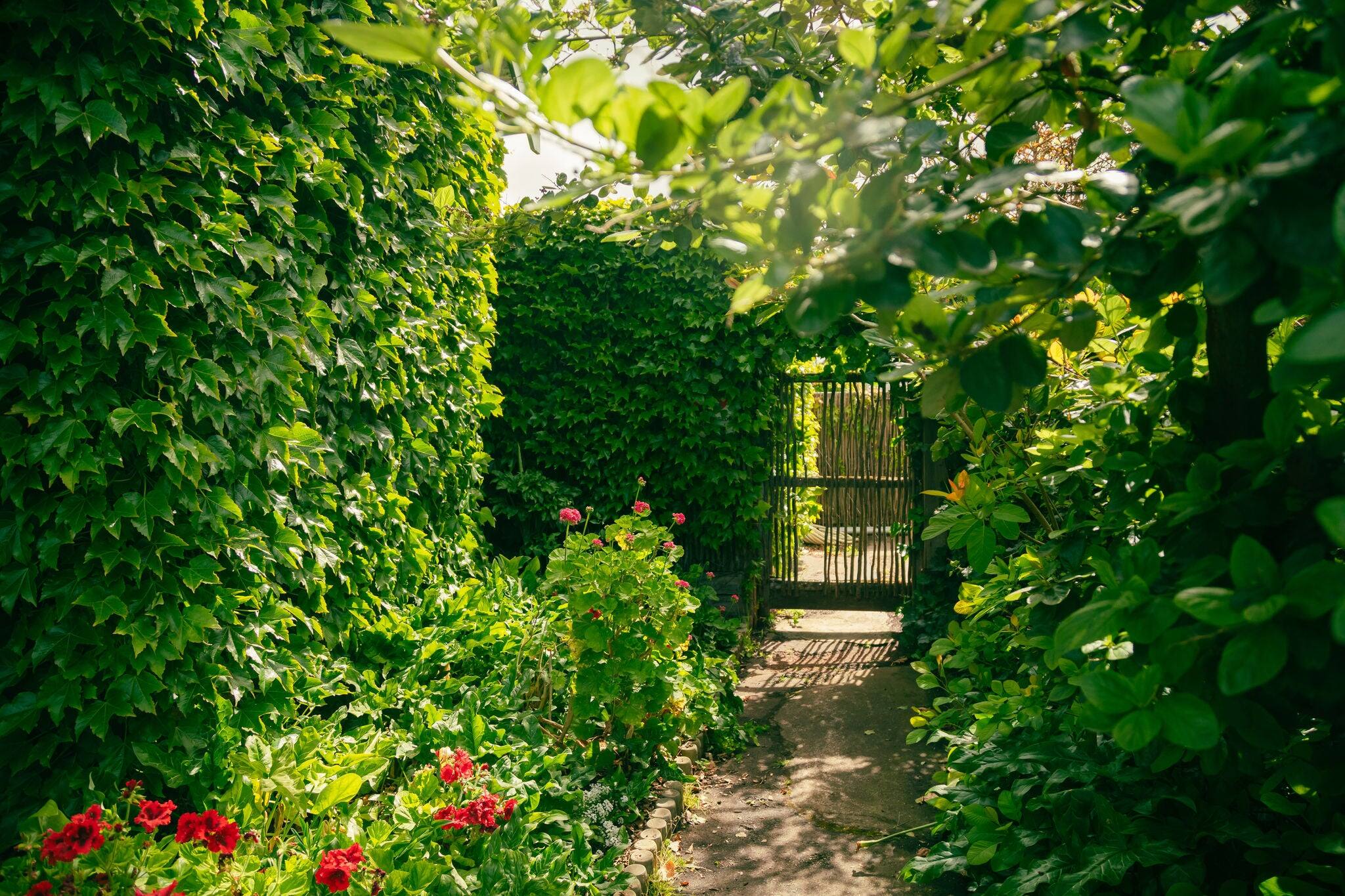 Beautiful vibrant garden at the Portland Botanic Gardens tourist attraction in Victoria Australia