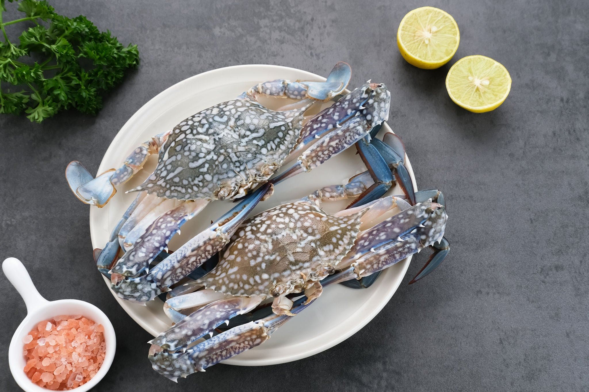 Fresh Blue Crab served on plate on dark background. Space for text