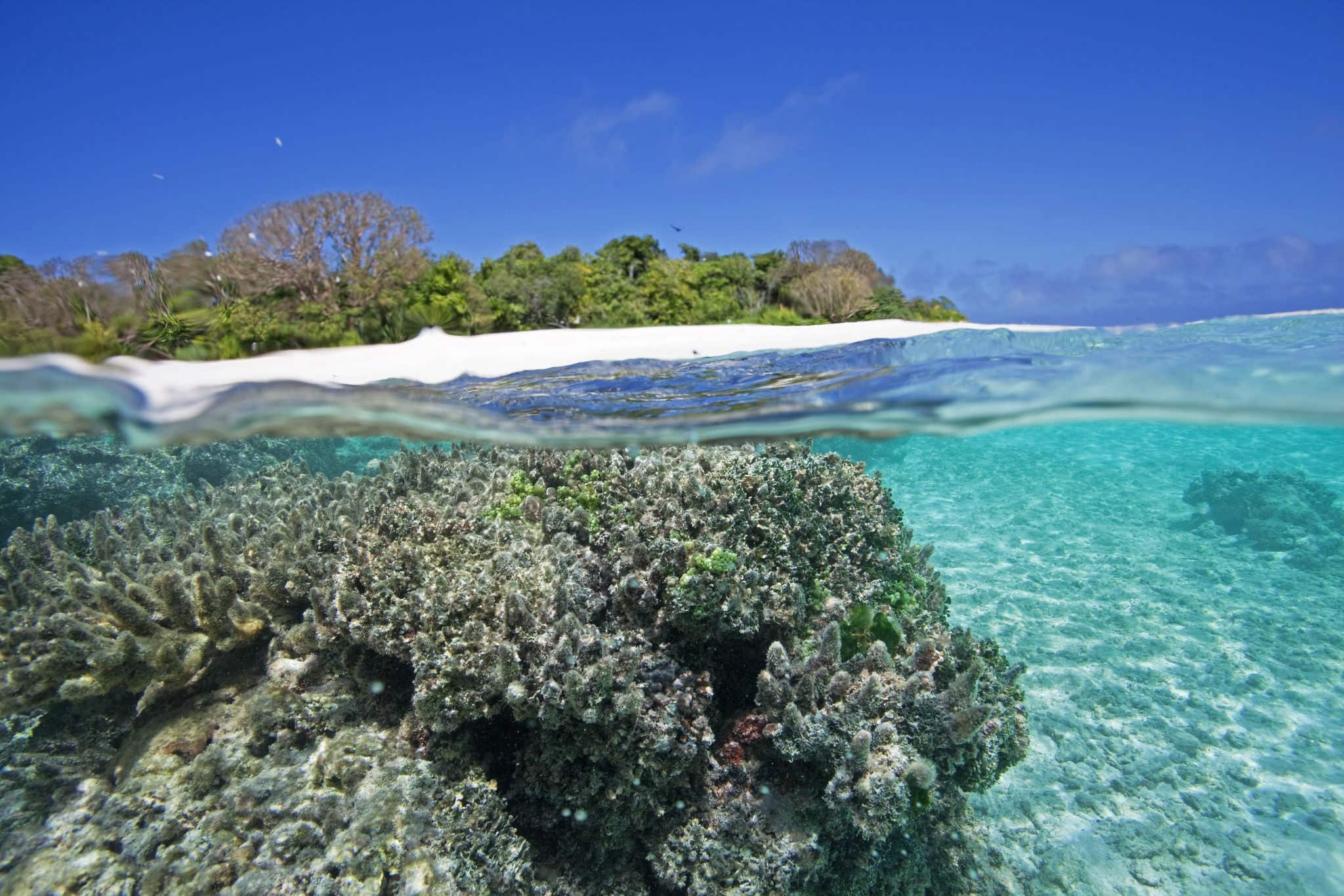 Vava'u Island, Tonga