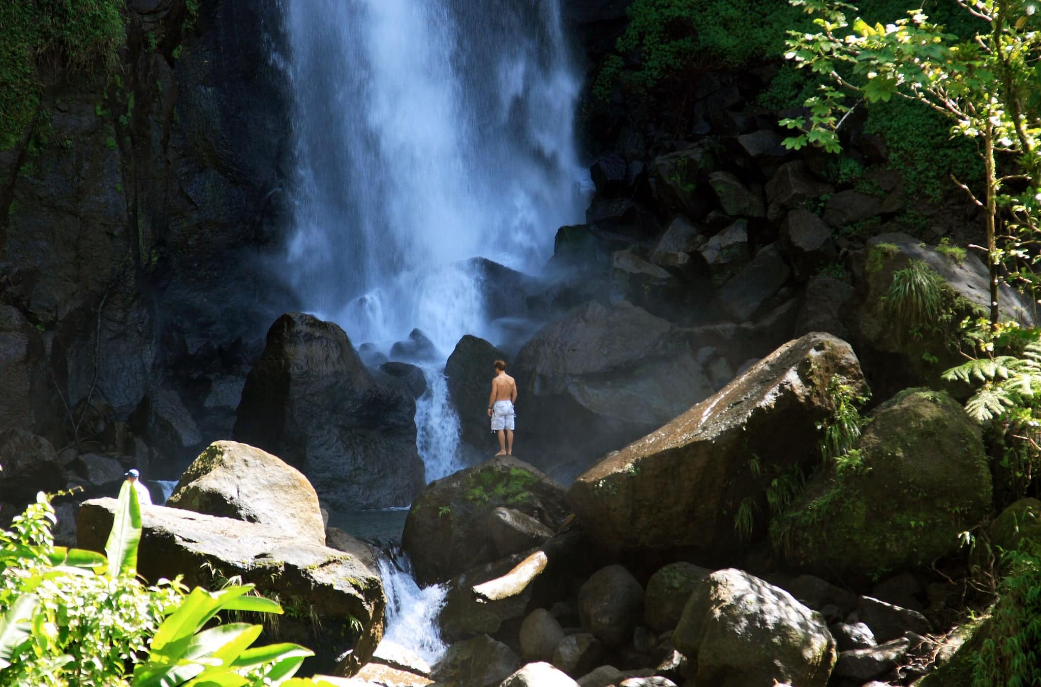 Tropical warm waterfall in the rain forest on the caribbean island of Dominica