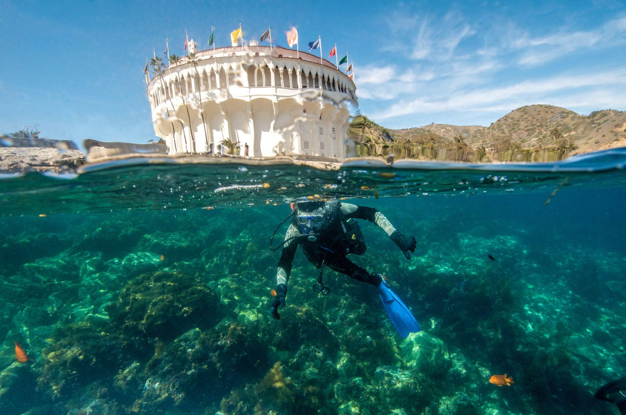 A Young Male Scuba Diver Begins a Dive at the Casino Point Underwater Park at Santa Catalina Island in California