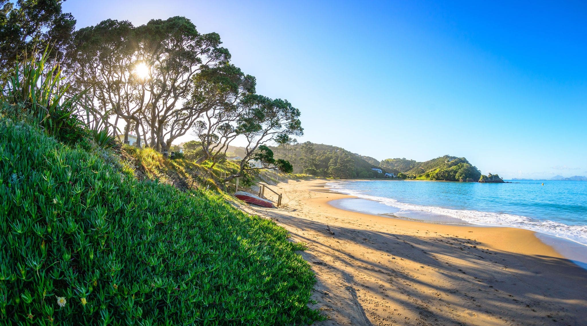 Wellington's Bay Sunrise, Tutukaka Coast