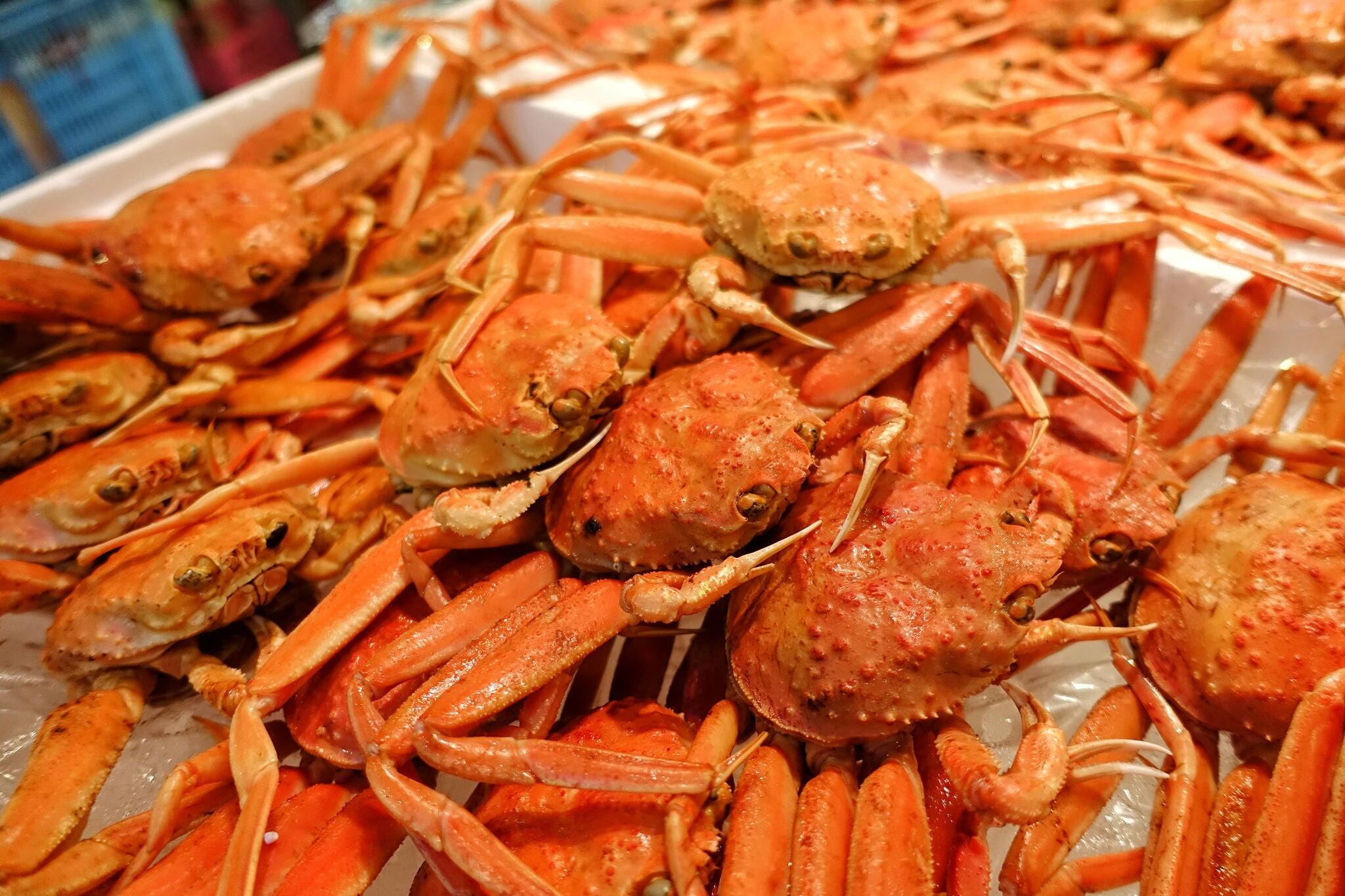 A pile of fresh raw Matsuba crab in fresh food market in Kinosaki Onsen. It is a type of adult male snow crab harvested during only the winter so it has season of Matsuba crab in November to March.