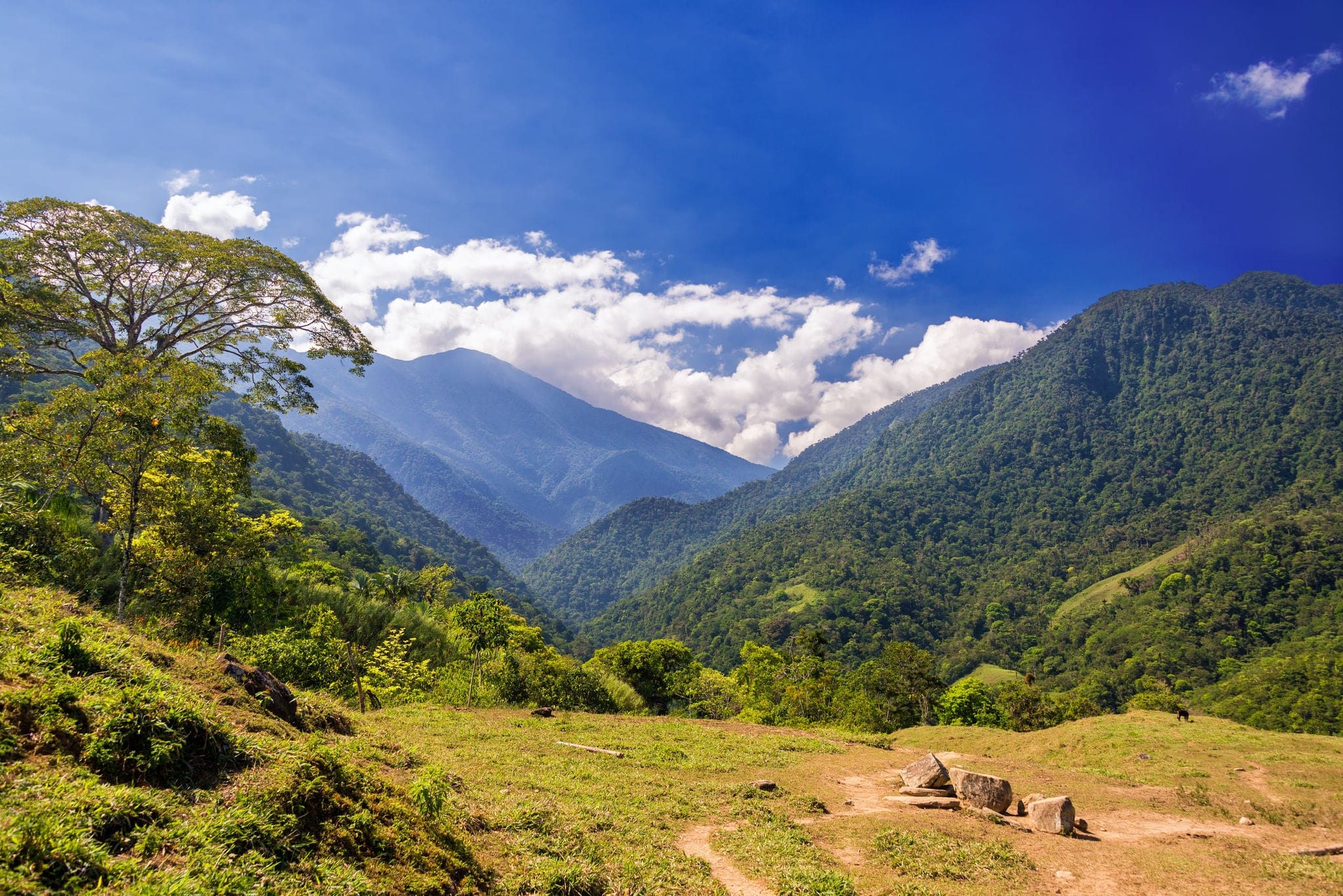 Lush green hills in the Sierra Nevada de Santa Marta mountain range near the Colombia coast