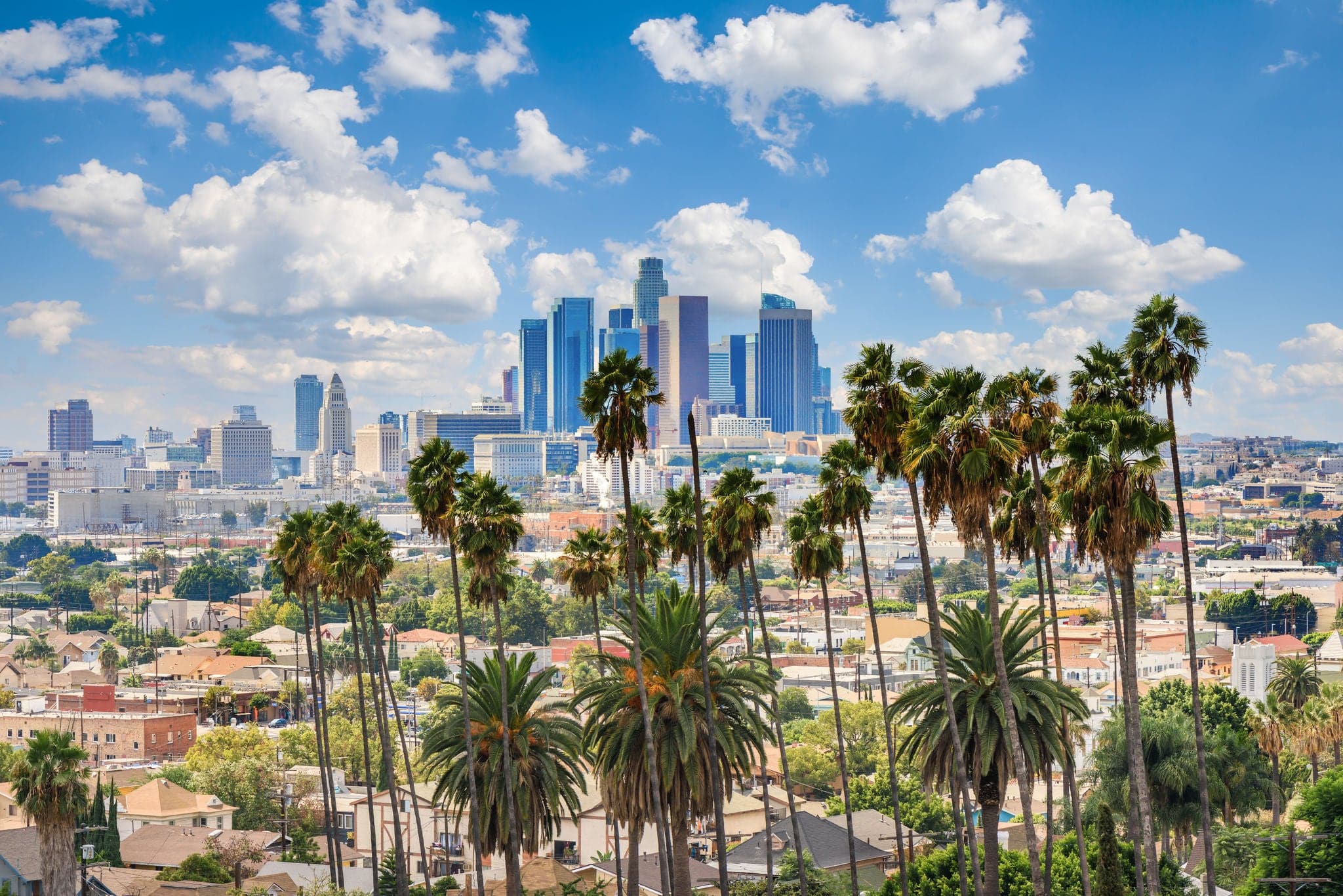 Beautiful cloudy day of Los Angeles downtown skyline and palm trees in foreground