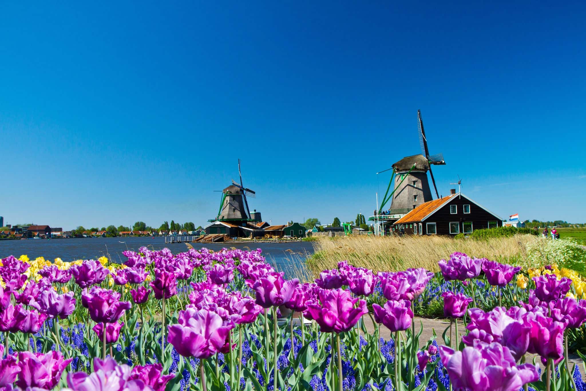 Photo of windmill in Holland with blue sky