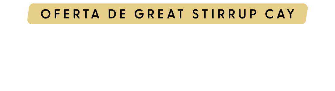 50% de descuento en todos los cruceros