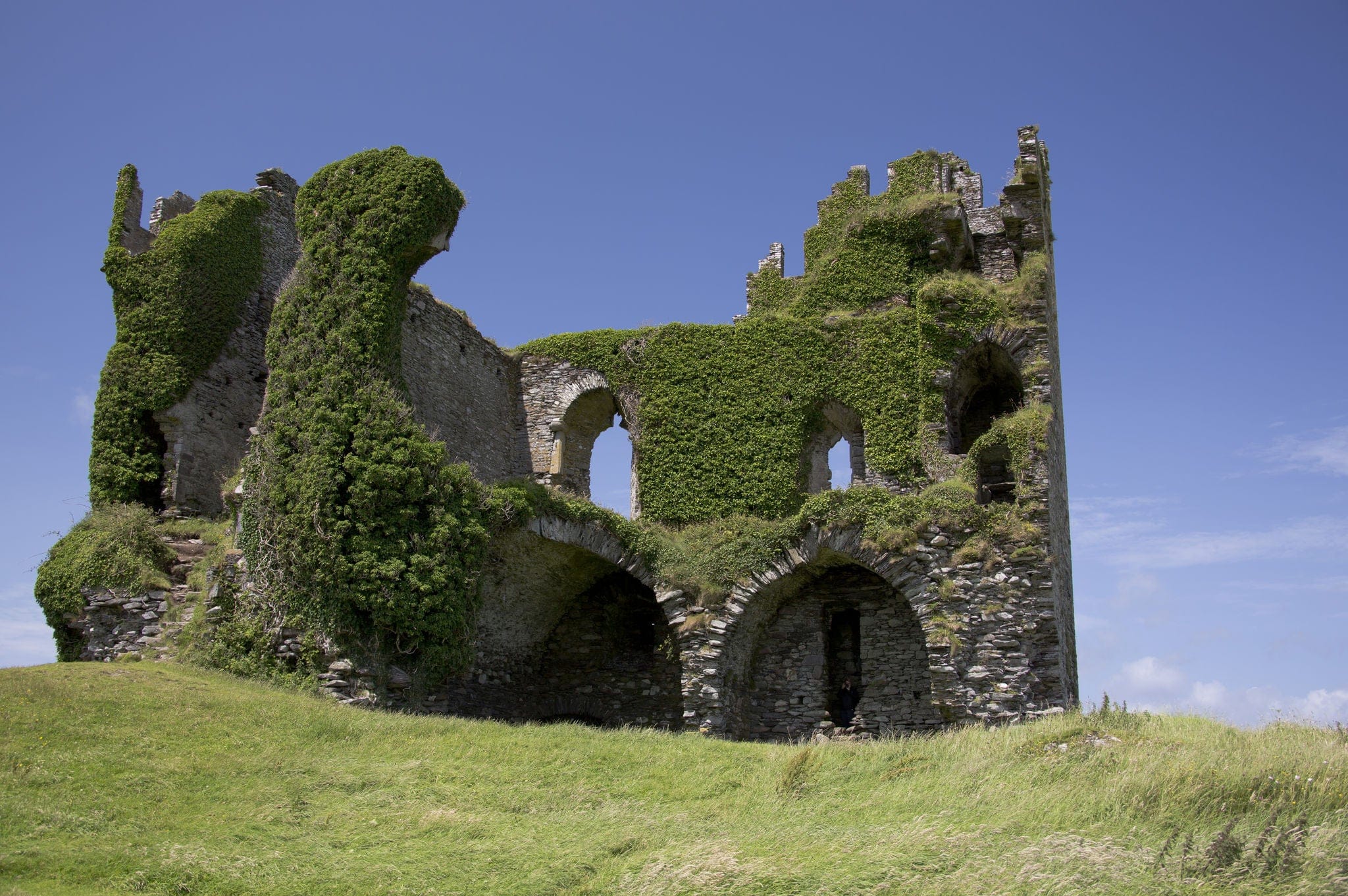 Ivy covered and abandoned ruin of Ballycarbery Castle landmark seat of the MacCarthys in County Kerry in south west of Ireland on the ring of kerry on a calm summers day