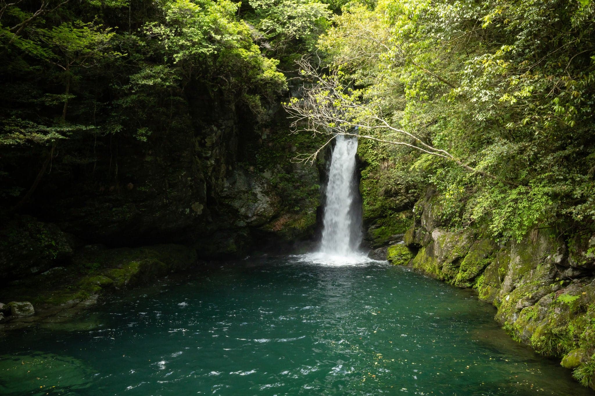 Nikobuchi, famous for its clean water in Kochi Japan