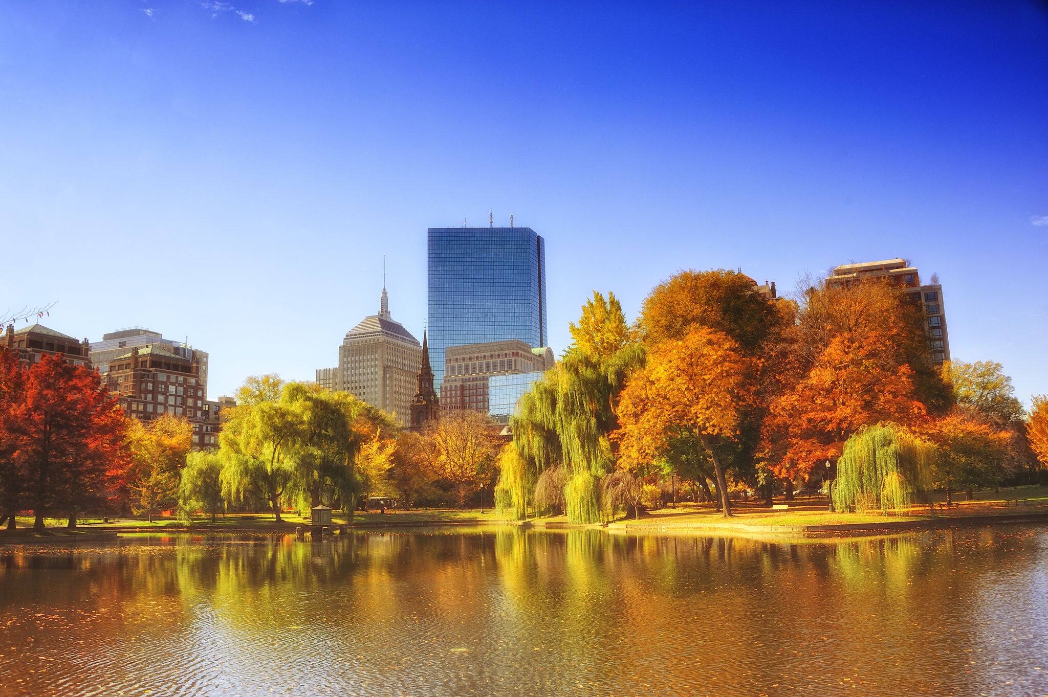 Foliage at Boston Common