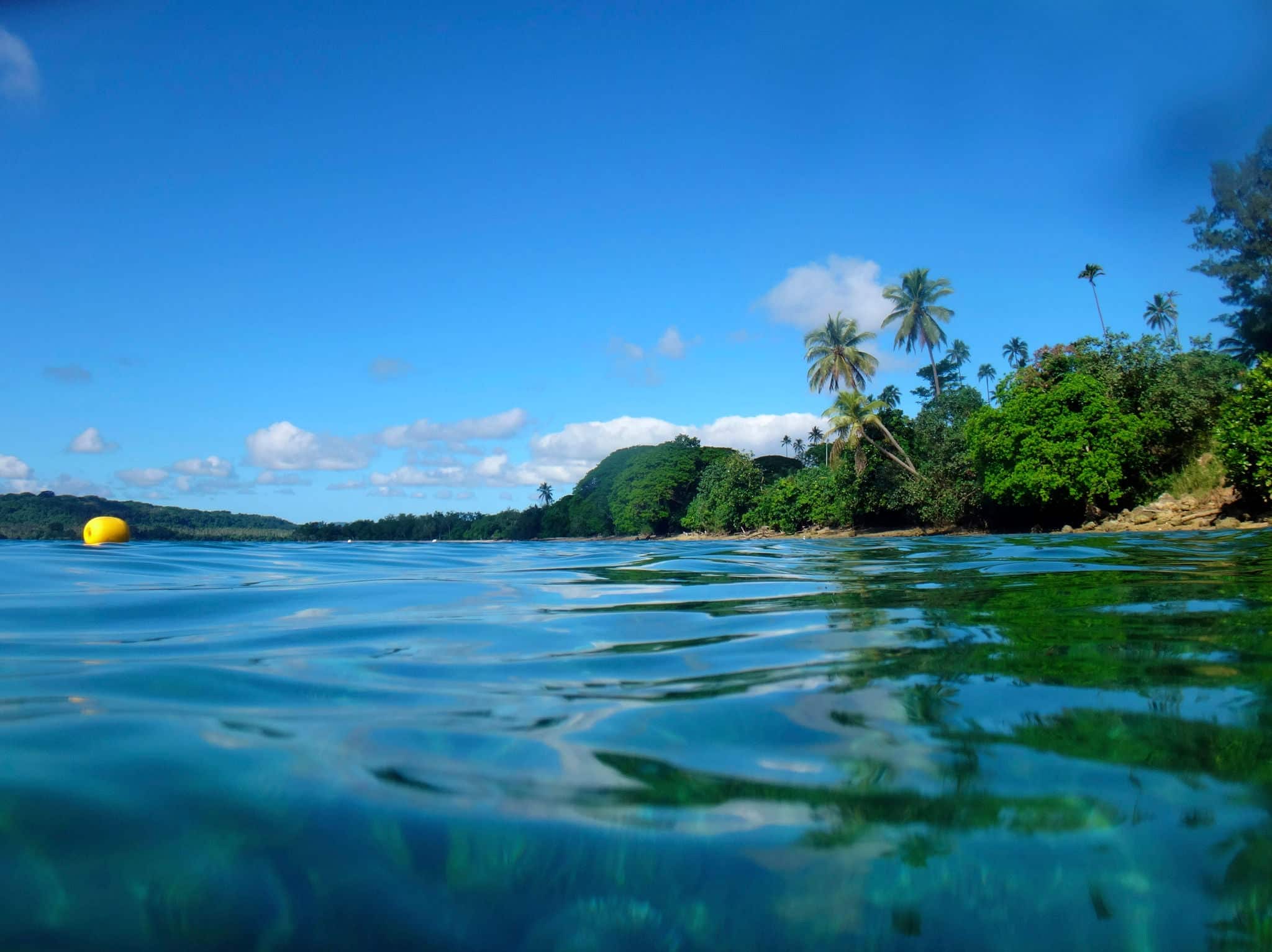 Sealife of Luganville, Espiritu Santo, Vanuatu