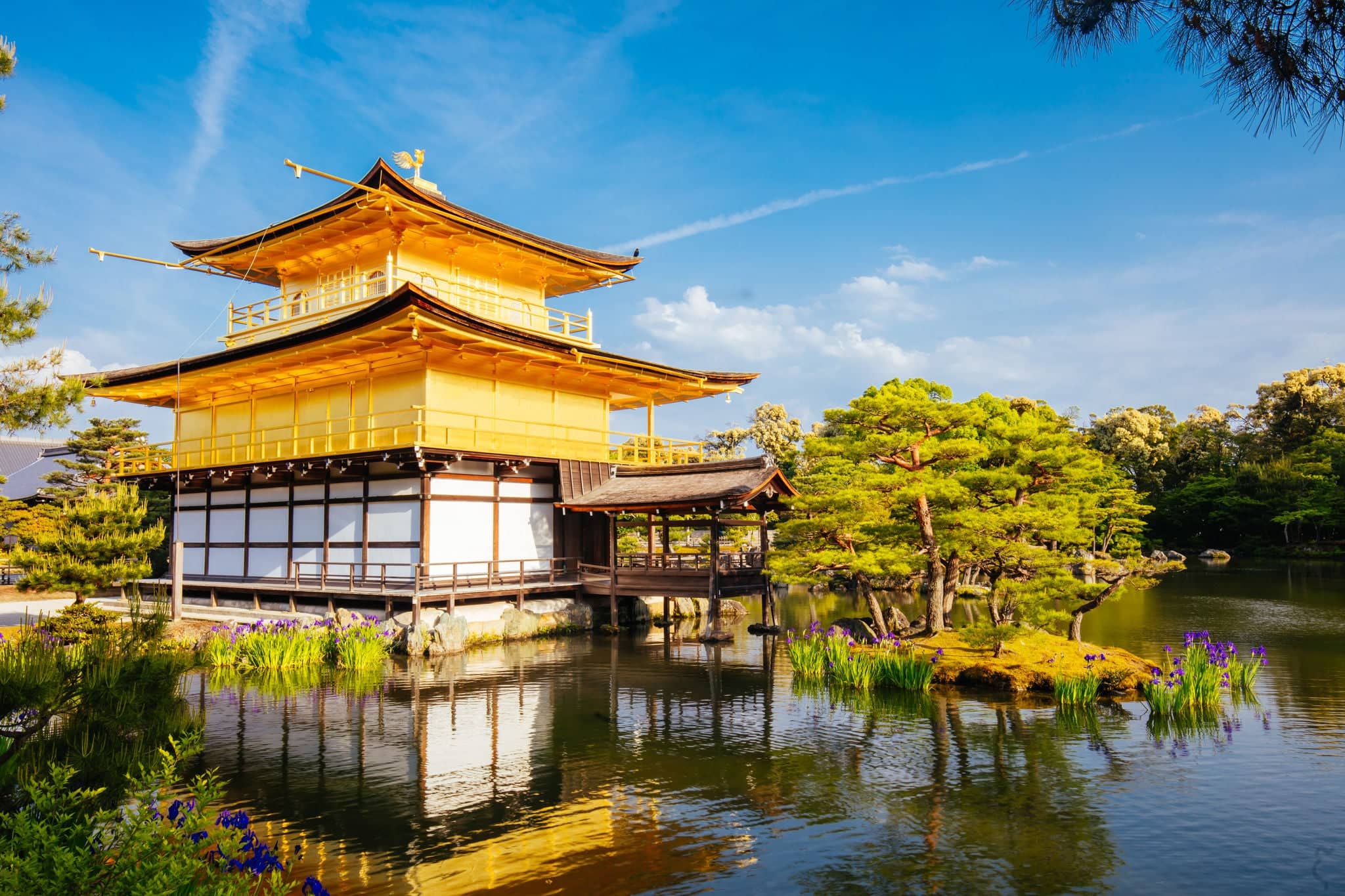 The world famous Kinkakuji Temple (The Golden Pavilion) in Kyoto, Japan