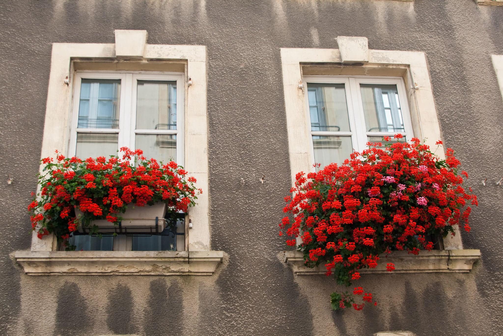 Windows in old house in Cherbourg-Octeville, Normandy, France