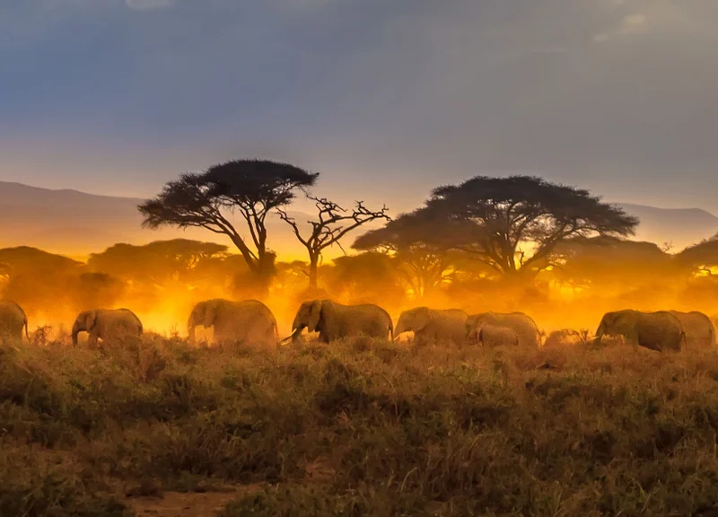 Africa