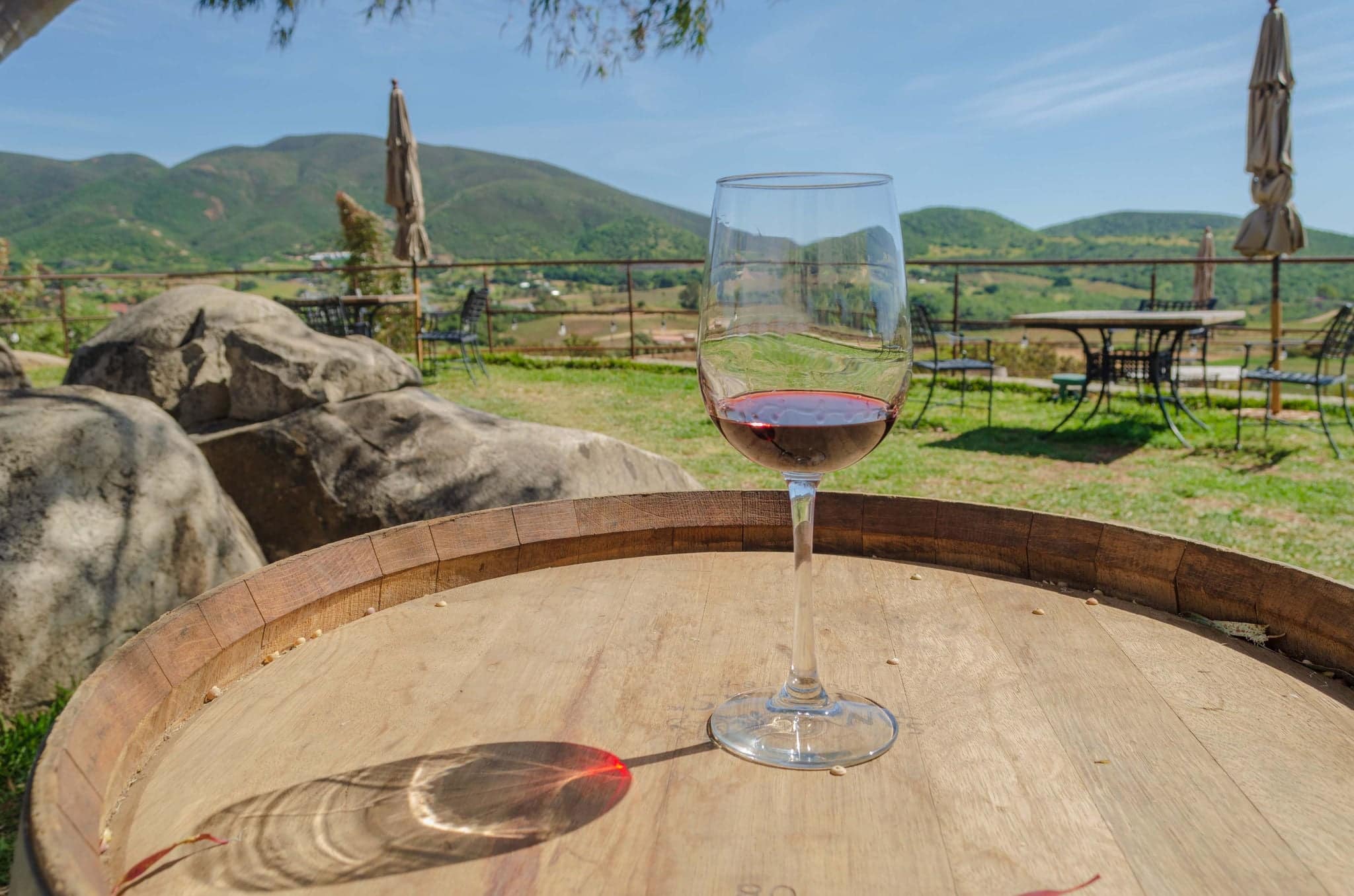 Glass of wine in front of beautiful landscapes with a beautiful blue sky in the Santo Tomas vineyards, in the Guadalupe Valley, Ensenada, Baja California, Mexico