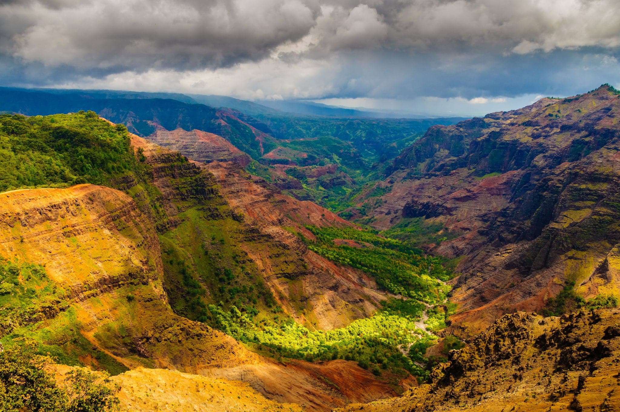 Overlooking Waimea Canyon State Park on the island of Kauai, Hawaii, USA, nicknamed the Grand Canyon of the Pacific.