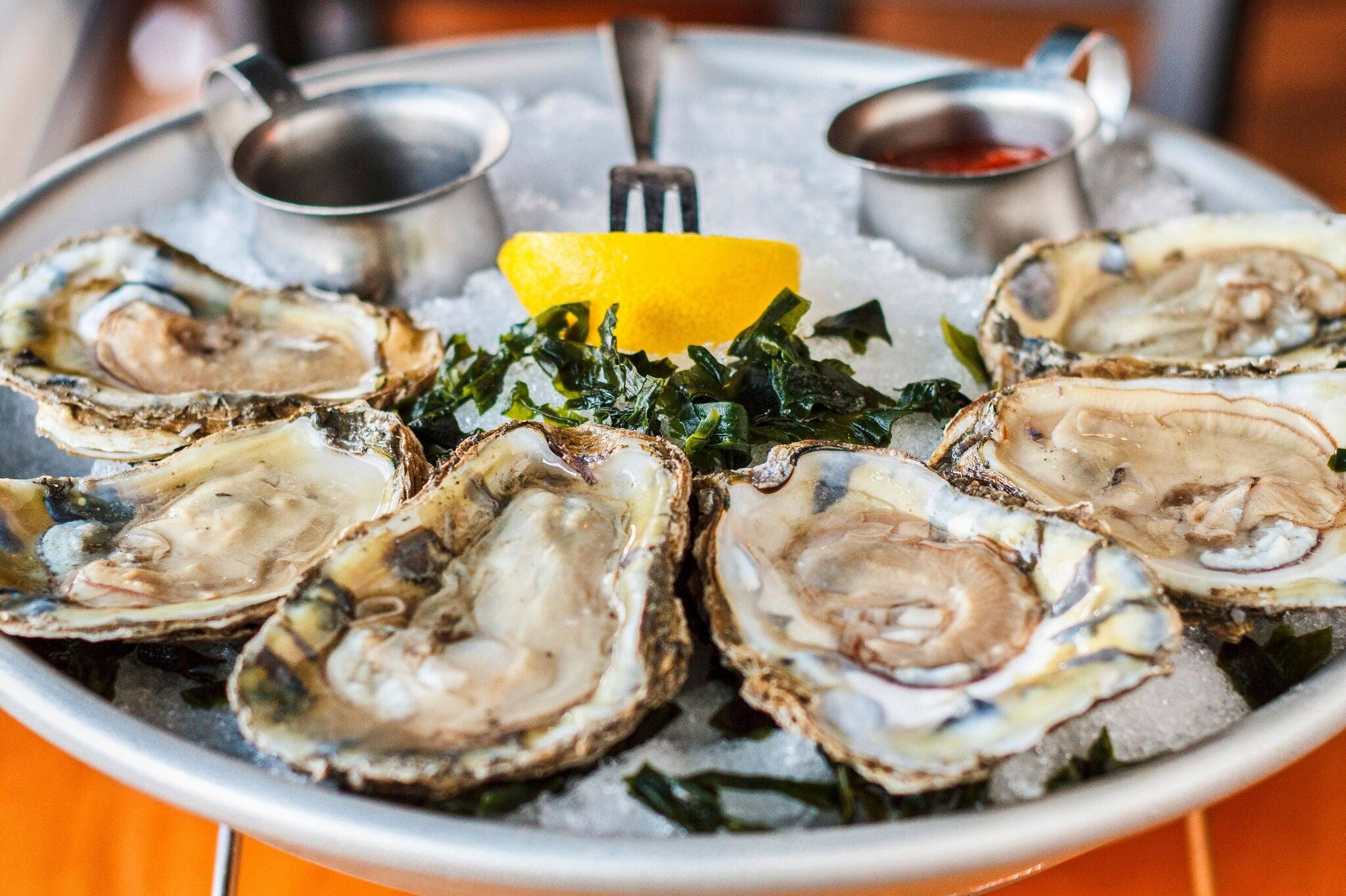 fresh shucked oysters on the half shell