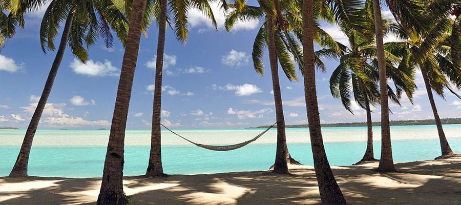Beachfront hammock hanging between palm trees.