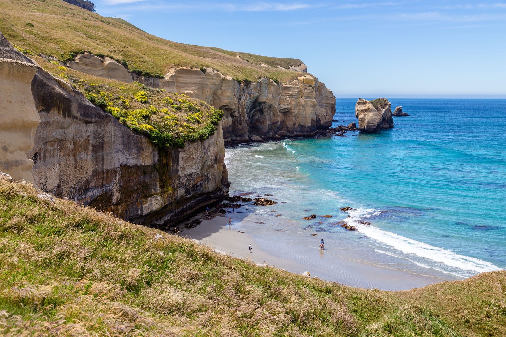 Tunnel beach, Dunedin, South island of New Zealand