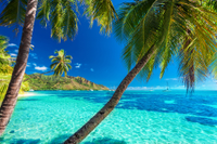 Moorea, French Polynesia