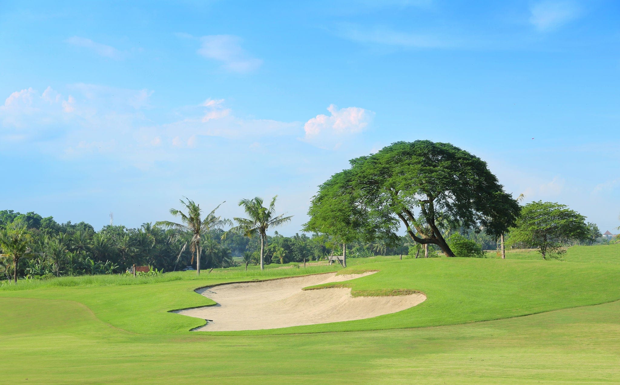 golf course