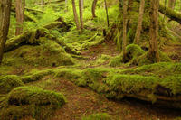 Sitka, Alaska