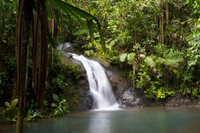 Denarau, Fiji