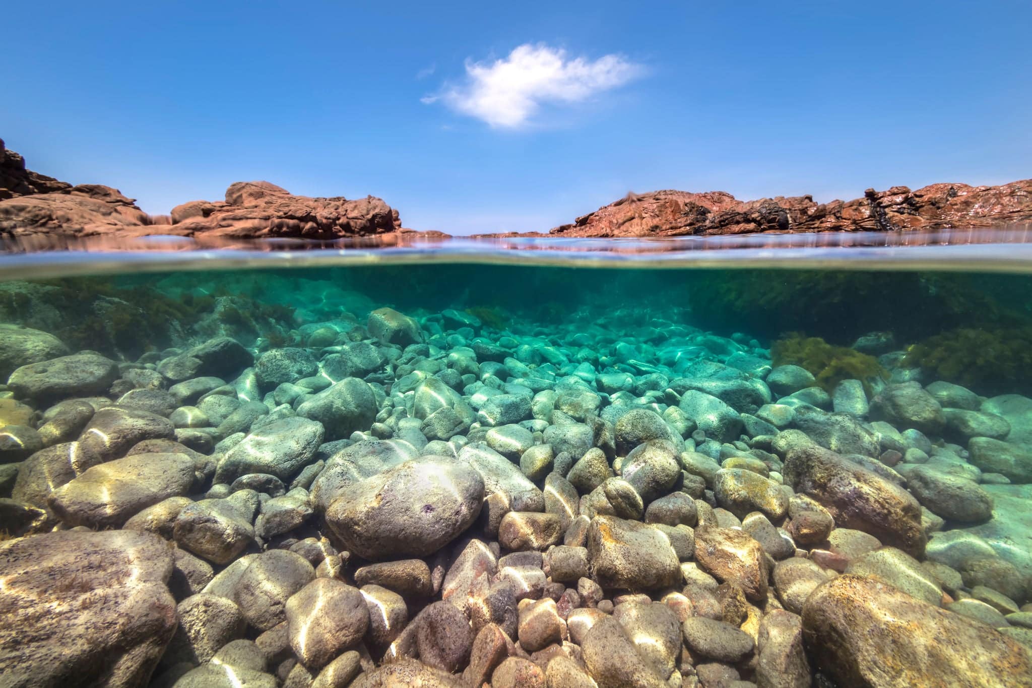 Foto submarina de The Swimming Hole, Whalers Way, Australia Meridional