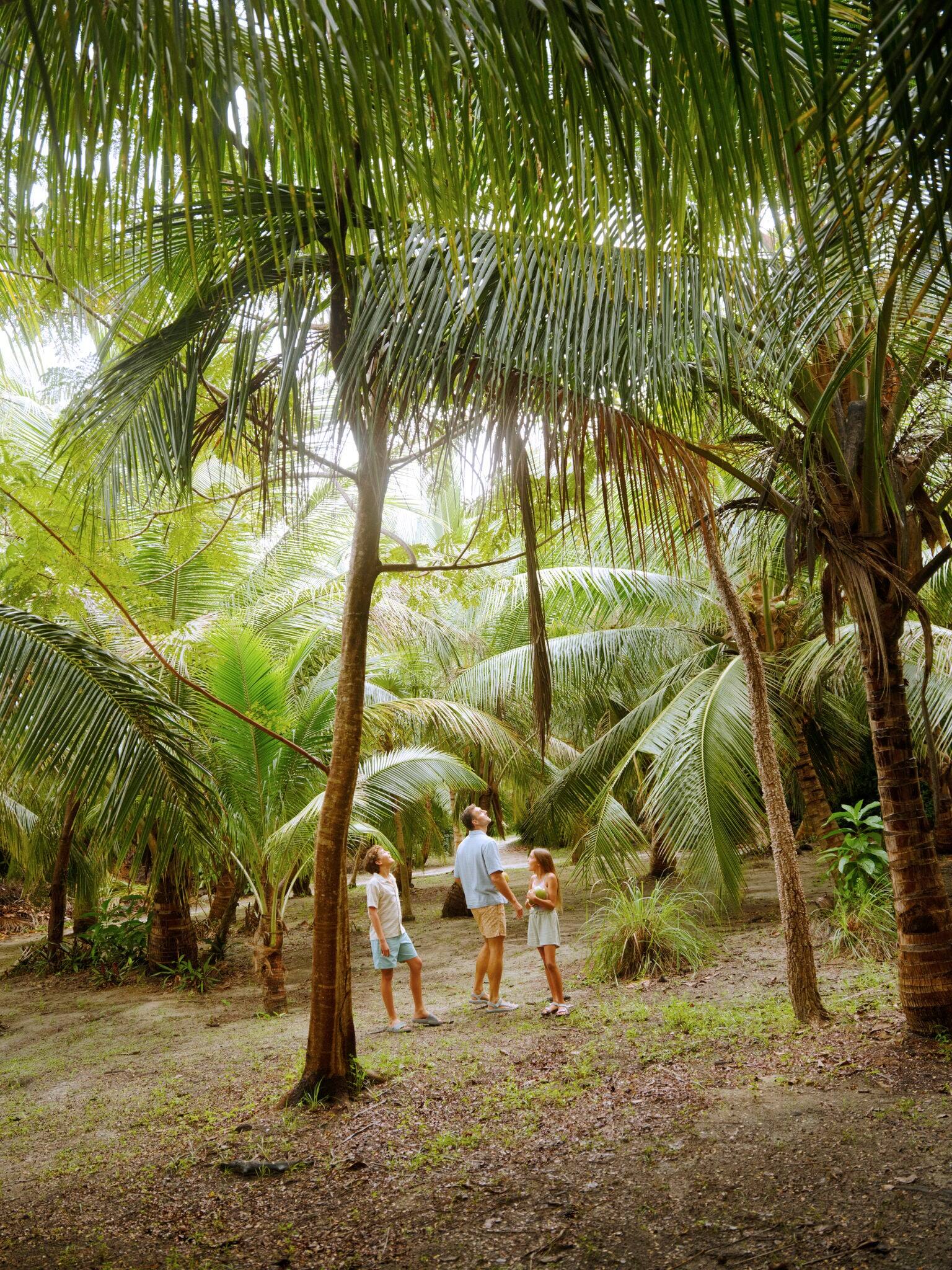 Walking through tropical plants in Magens Bay.